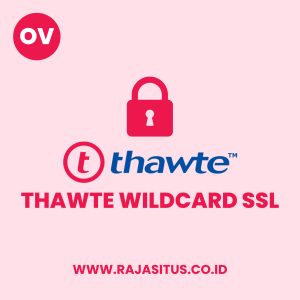 ssl thawte wildcard murah